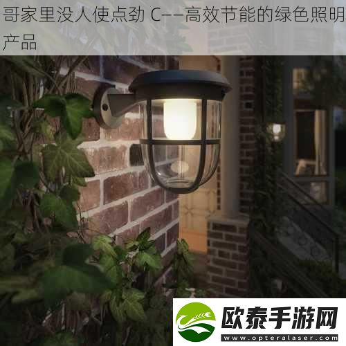 哥家里没人使点劲