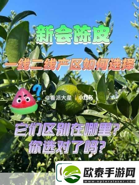 深入了解久一线产区二线产区三线产区