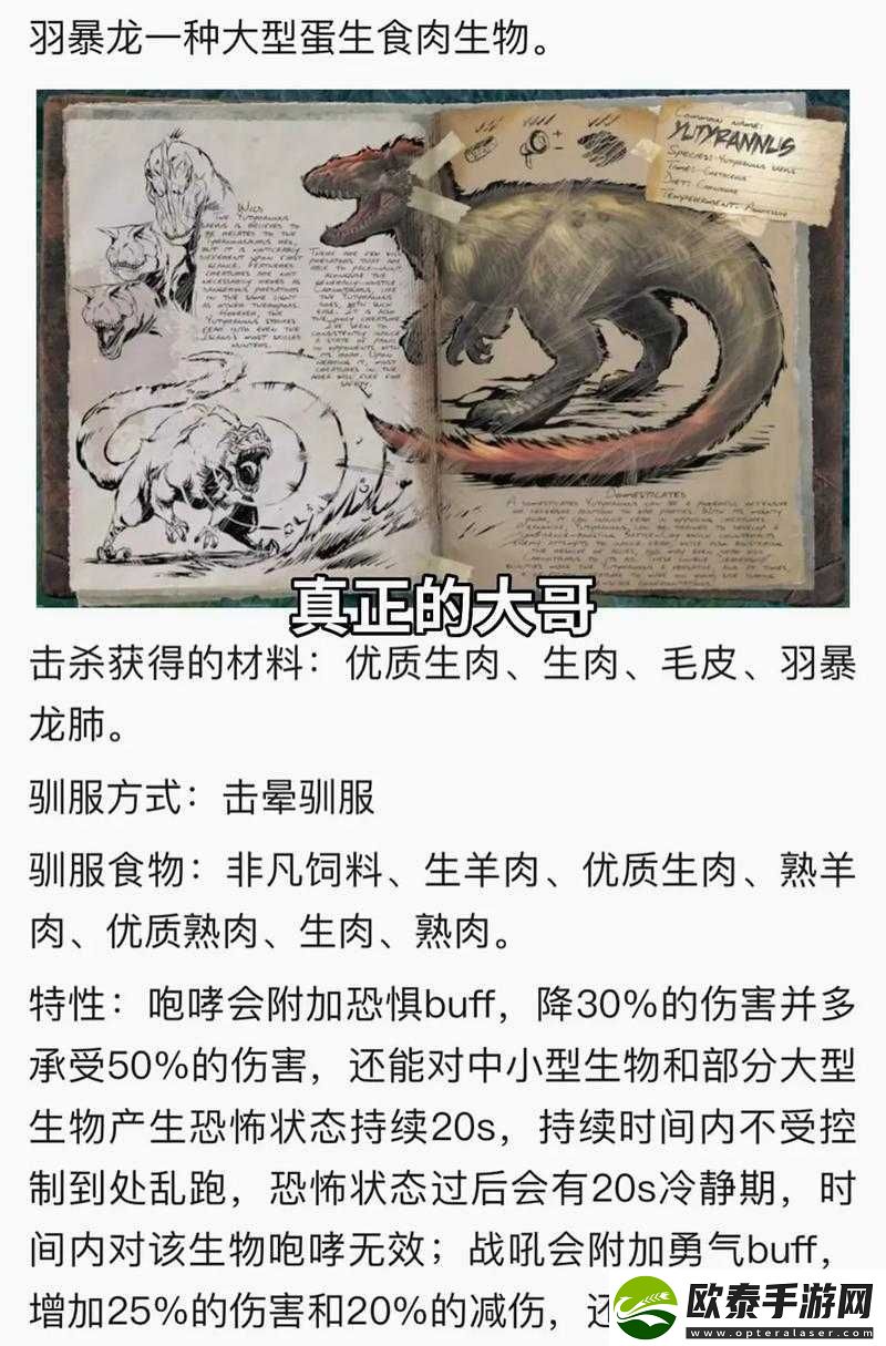 方舟生存进化深度解析