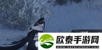 逆水寒手游乾坤一掷奇遇完成方法介绍