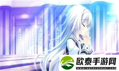 少女视频高清免费素材软件