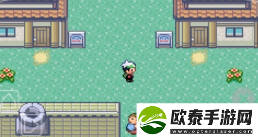 口袋妖怪绿宝石金手指代码大全2022