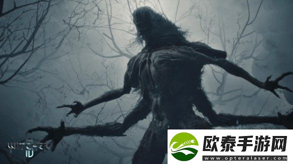 巫师4总监