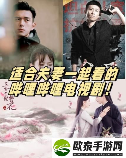 适合夫妻看的哔哩哔哩电视剧