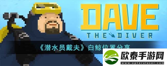 潜水员戴夫白鲸位置分享