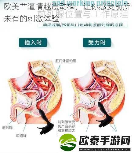 欧美*逼情趣震动棒