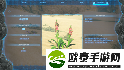 暖暖香草刷新点介绍