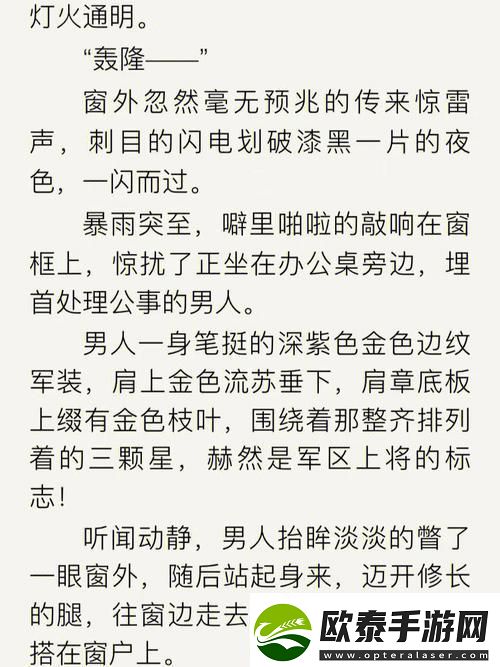 新职场精英揭秘
