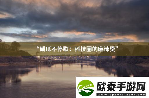“潮瓜不停歇