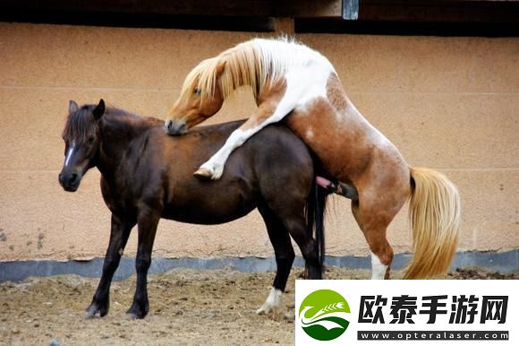 突破极限