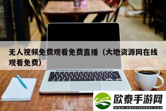 探索数字化奇迹