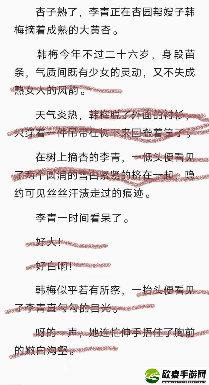 李青韩梅全文小说免费阅读