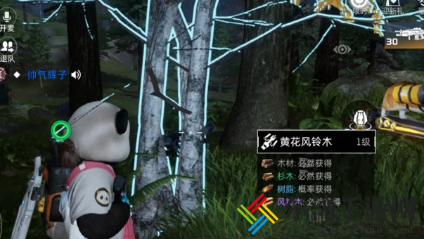星球重启黄花风铃木在哪