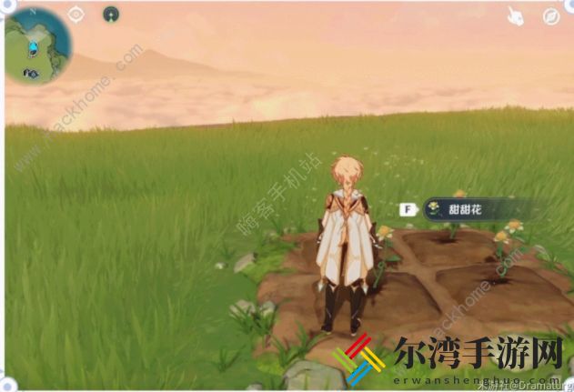 原神尘歌壶作物大全 尘歌壶作物种植及偷菜方法