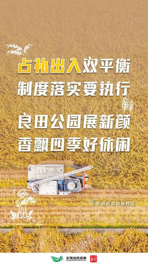 大地资源第二页高清版介绍