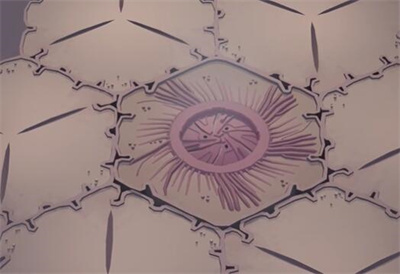 茧第三章怎么通关