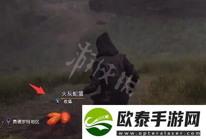 霍格沃茨之遗火灰蛇蛋在哪