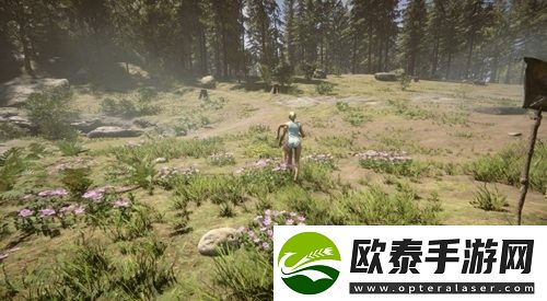 森林之子绳索枪在哪