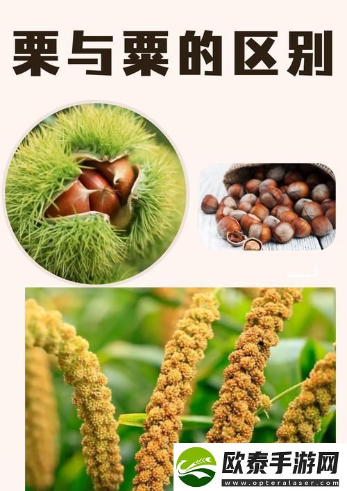 三指探洞和二指的区别