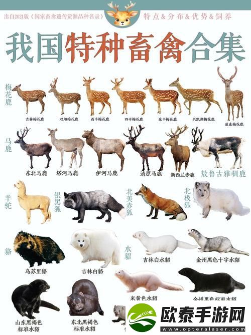 人狗畜禽COMPANYLIMITED