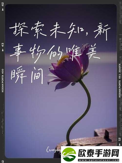 成免费