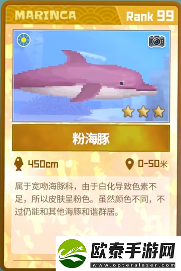 粉海豚抓捕攻略