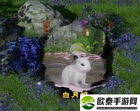 剑网3白月皎宠物奇遇怎么做