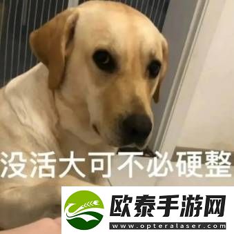 极品全靠爆回城就换钱