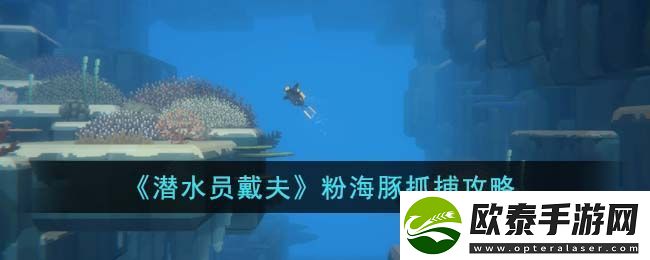 粉海豚抓捕攻略