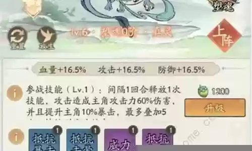 最强减伤阵容搭配推荐：活动参与技巧与奖励获取