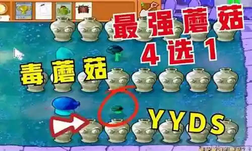 最强蘑菇阵容搭配攻略视频：攻略助你提升速度