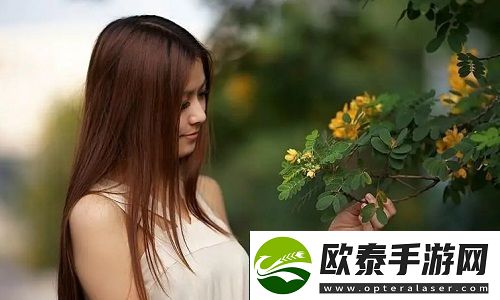 四个人换着来免费观看第一季