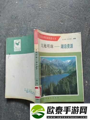内容丰富大地资源二中文免费第二页