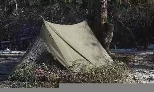 荒野召唤帐篷阵容搭配攻略：装备词条属性对比