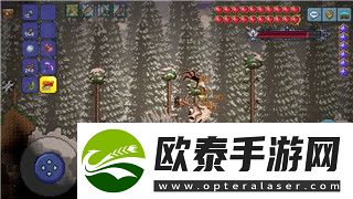 地下城堡3服务器冠名全面解析