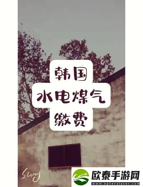 韩国三色电费