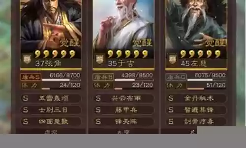 张角仙人盾阵容搭配图表：游戏内资源管理技巧