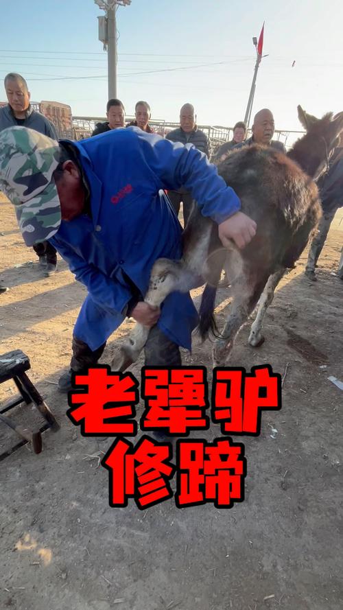 老色驴旧地址