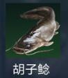 星球重启胡子鲶位置在哪