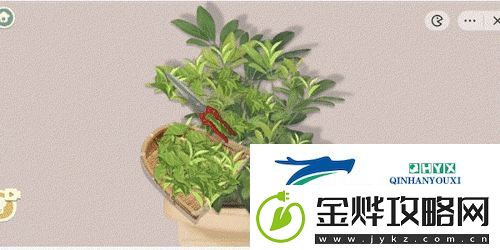 收纳物语东方茶叶怎么过