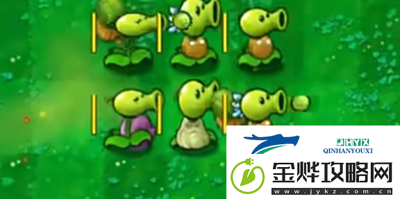 植物大战僵尸嫁接版作者是谁