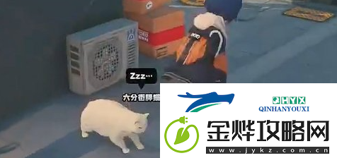 绝区零大胃王挑战赛任务怎么过