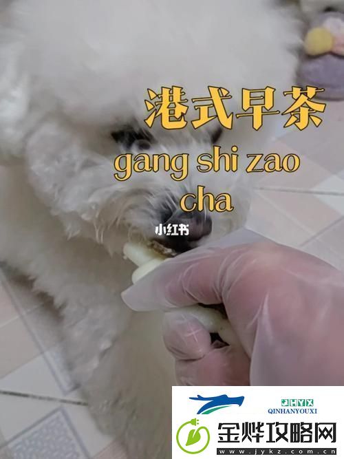 美国人与动物胶配方有几种读者