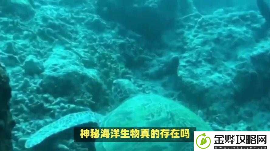 地心护核者荒野区深度鱼类探秘