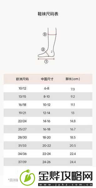 欧洲尺码日本尺码专线