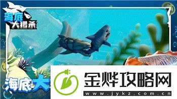德军总部新秩序密码位置揭晓