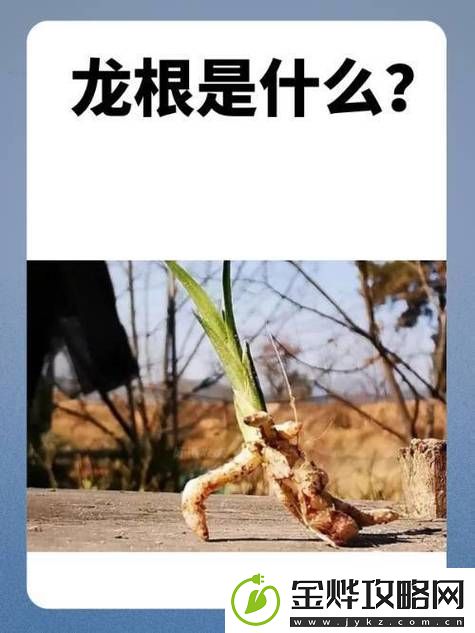 用龙根养大的公主姜宜珠姜封