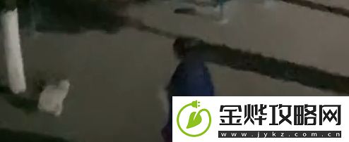 做一只有礼貌的猫是什么梗网络用语