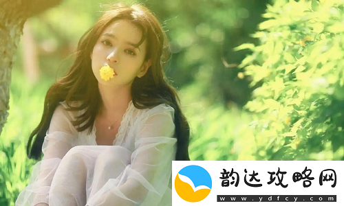 欧美尺码日本尺码专线美国
