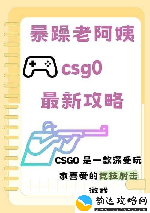 暴躁老阿姨CSGO新手技巧